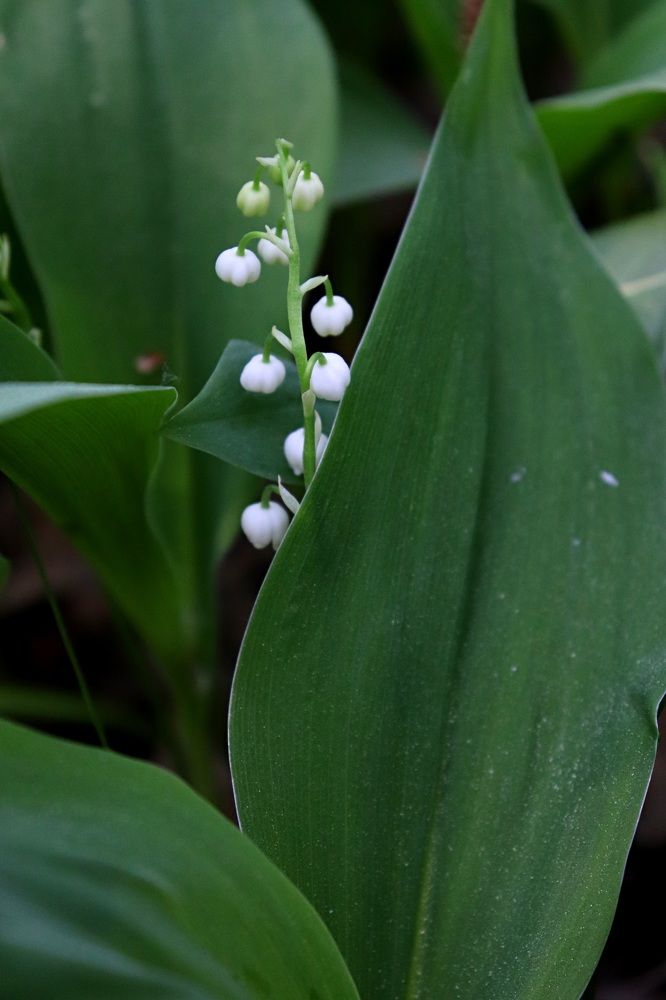 Photograph by Татьяна Котельникова