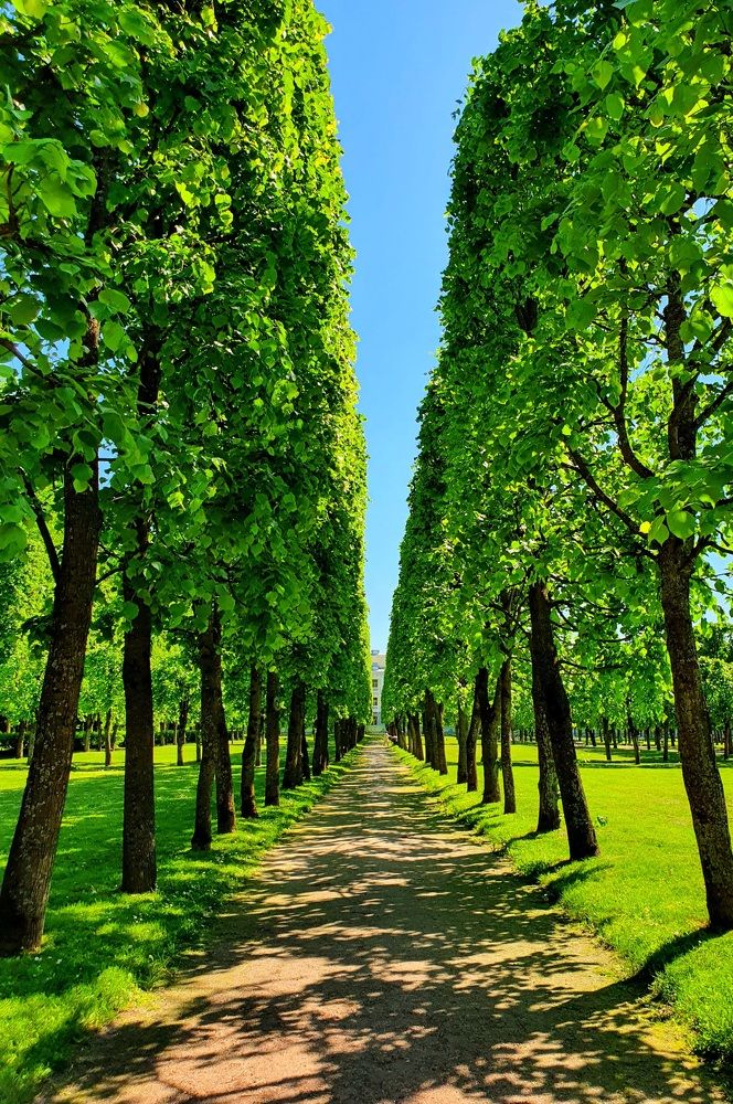 Photograph by Яна Гал