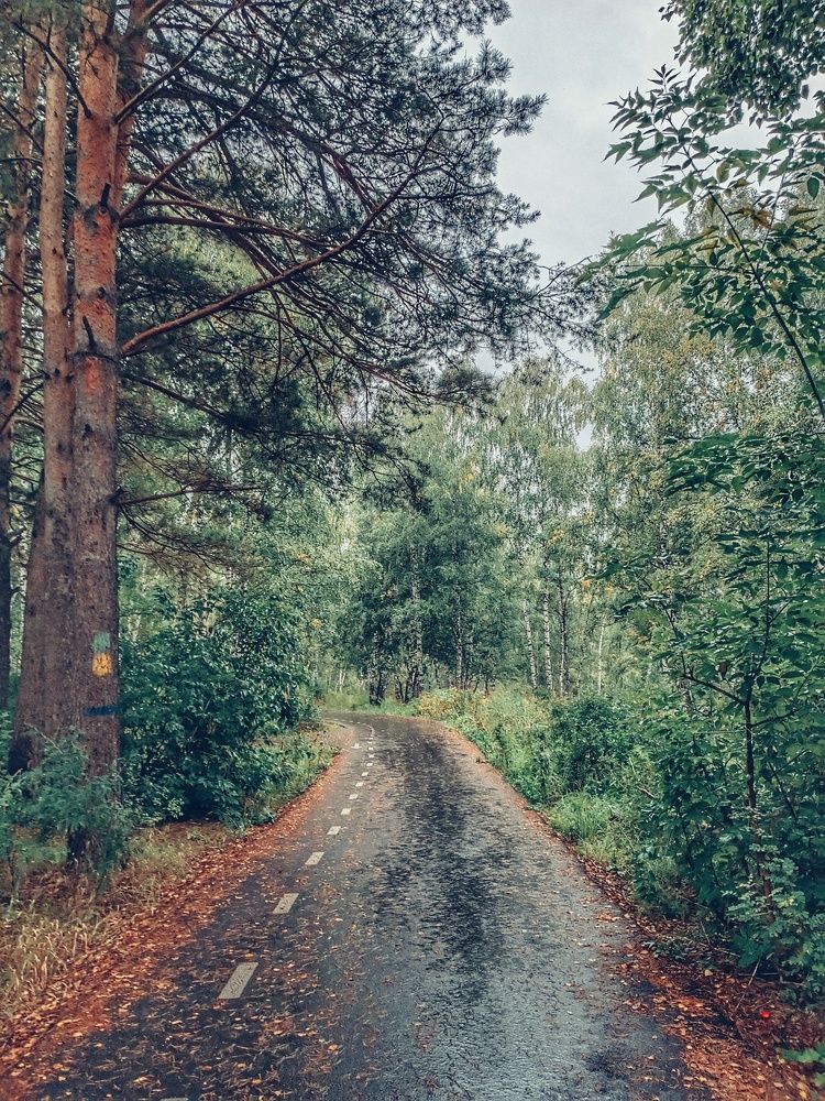 Photograph by Татьяна Cамсонова