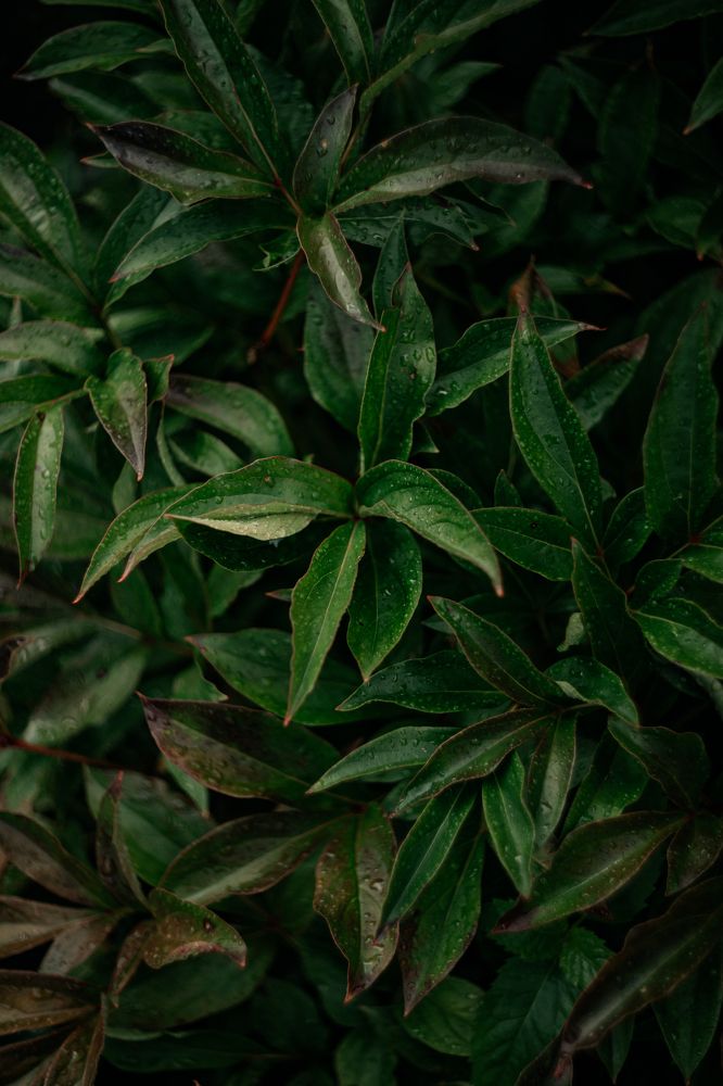 Фотография автора Лукашенко Ольга