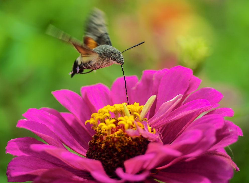 Дозаправка