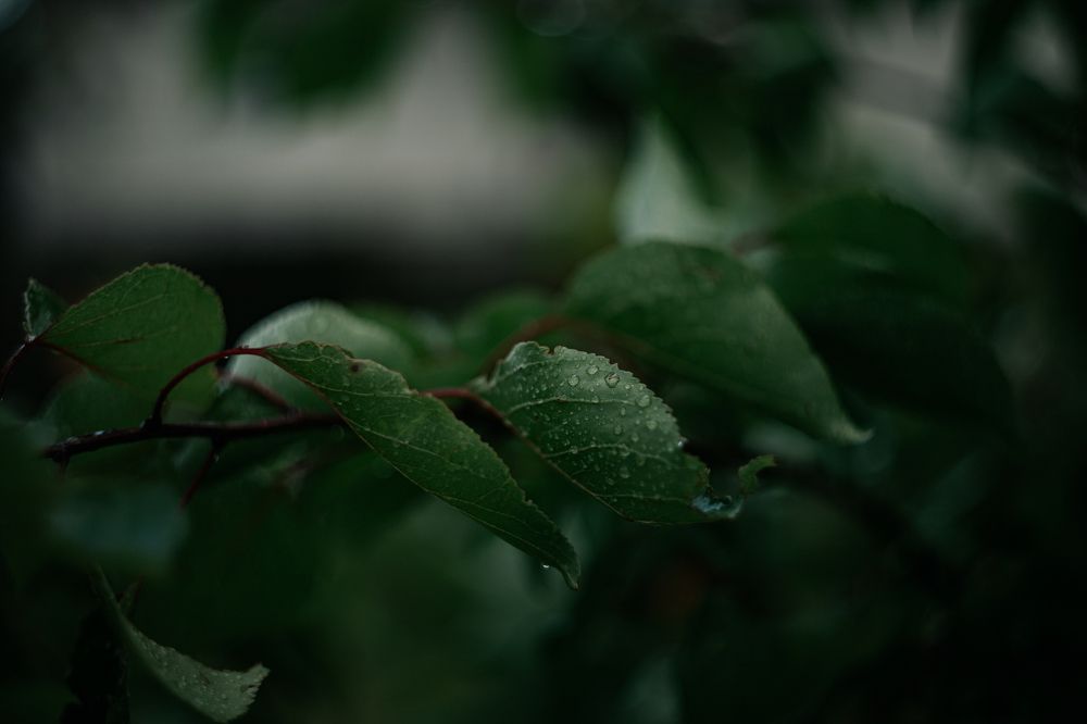 Фотография автора Лукашенко Ольга