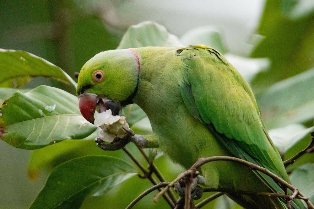 Photograph by Namina Wijetunga