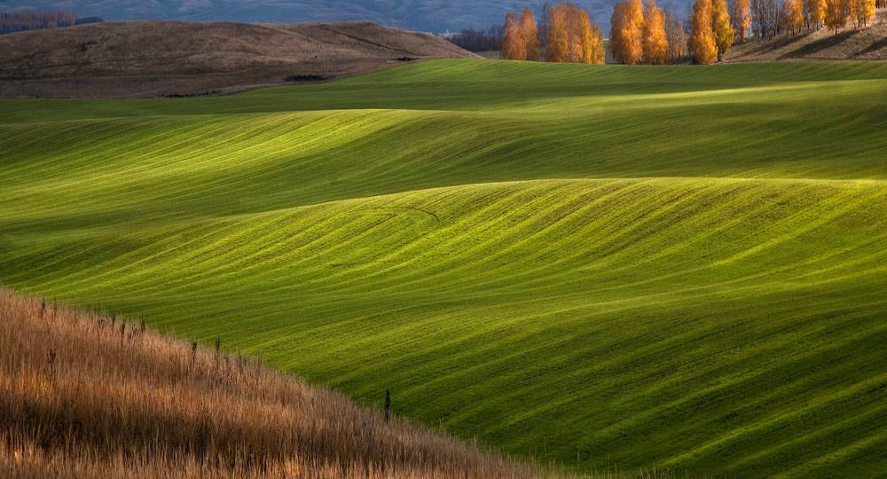 Photograph by Тамара Андреева