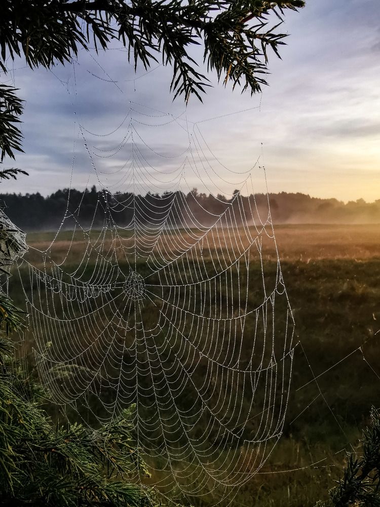 Photograph by Горбова Юлия