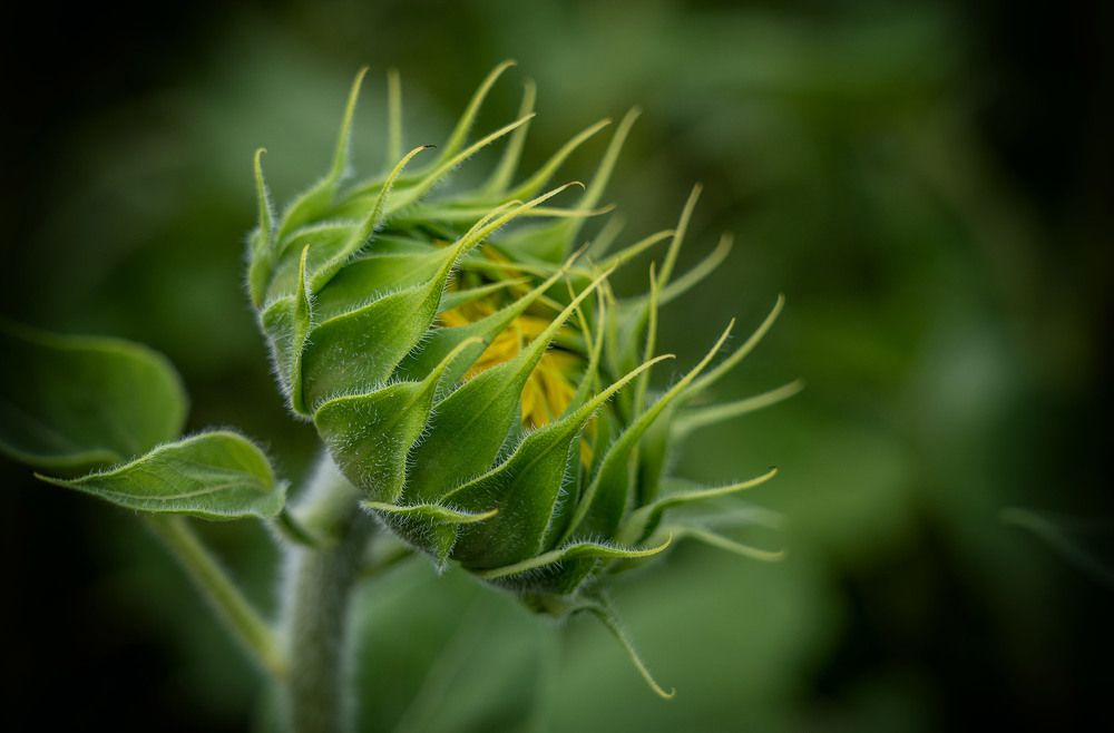 Photograph by Тамара Андреева