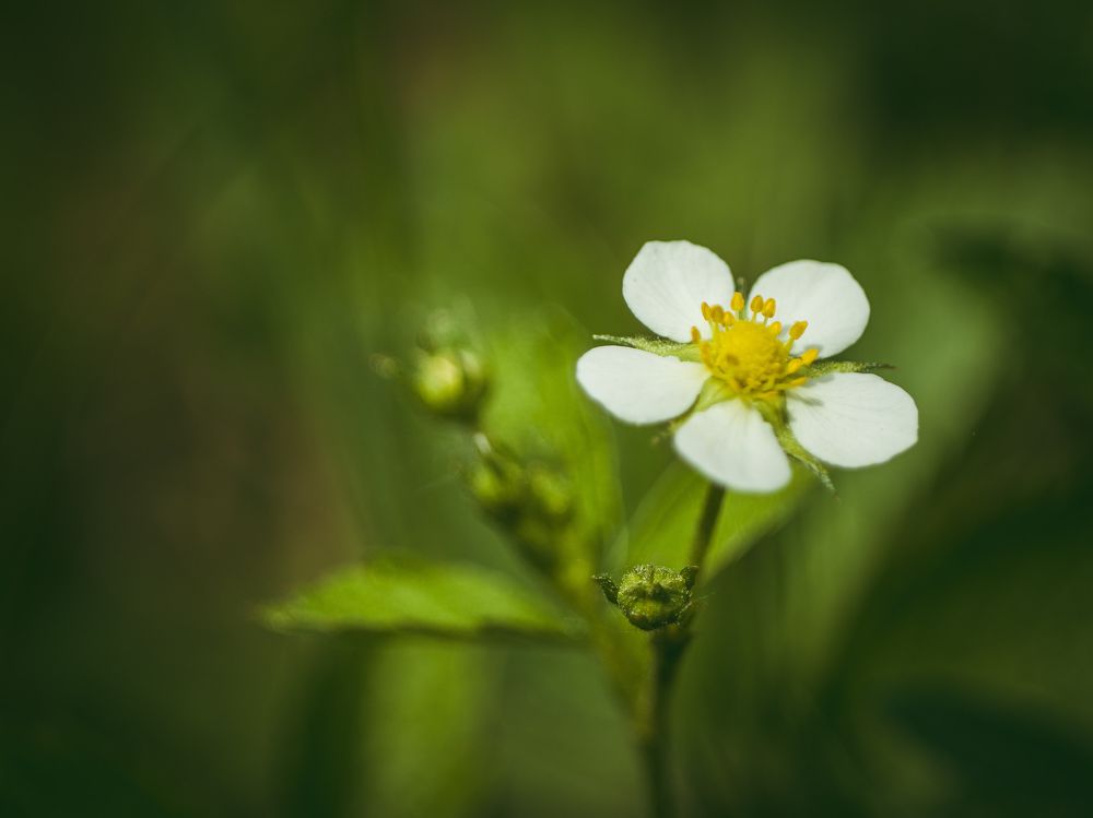 Photograph by Вера Рябинина