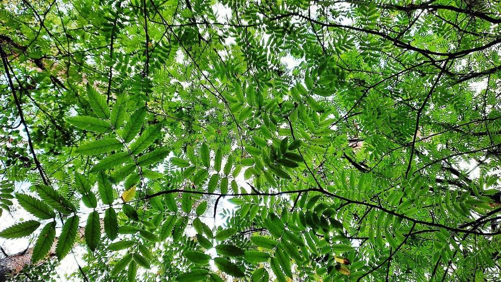 Photograph by Татьяна Котельникова