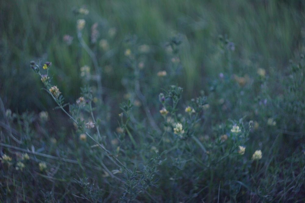 Photograph by Татьяна Аршинова