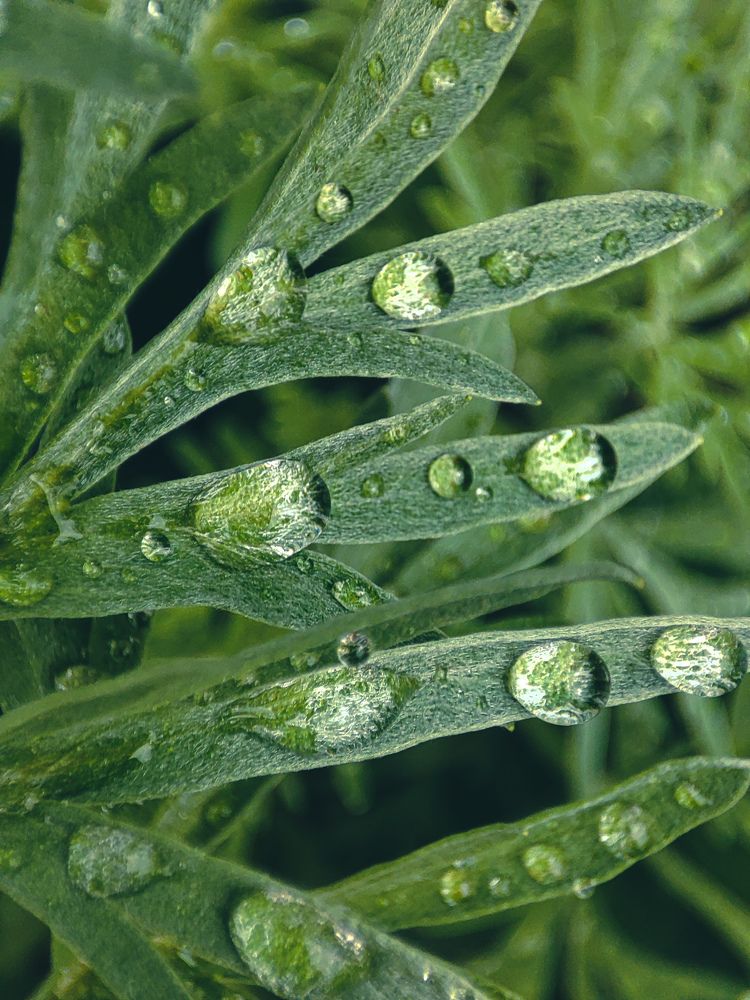 Фотография автора Марина Талалина