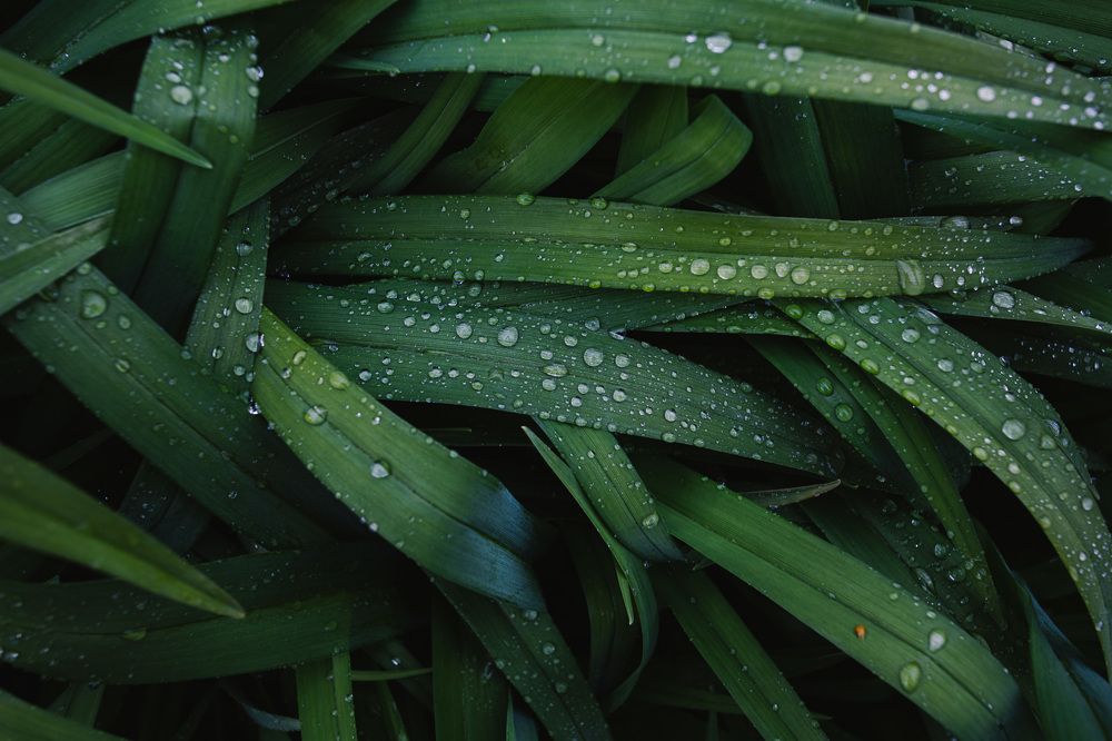 Photograph by Богдан Тарасов