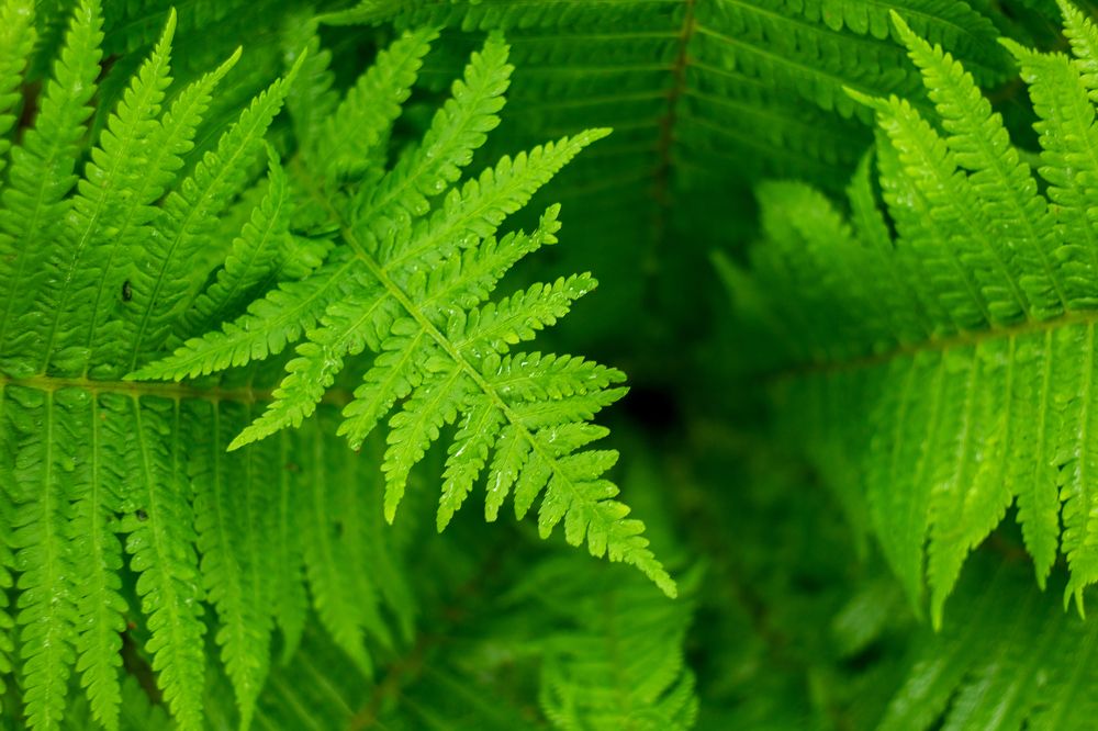 Photograph by Богдан Тарасов