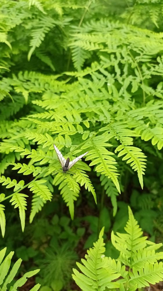 Photograph by Галина Милейко