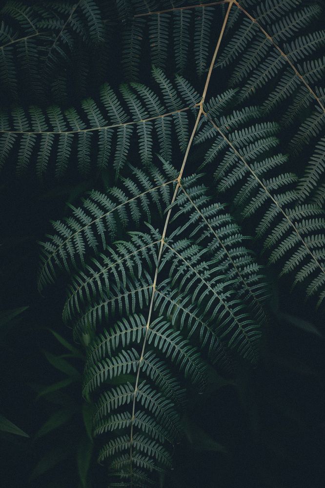 Photograph by Богдан Тарасов