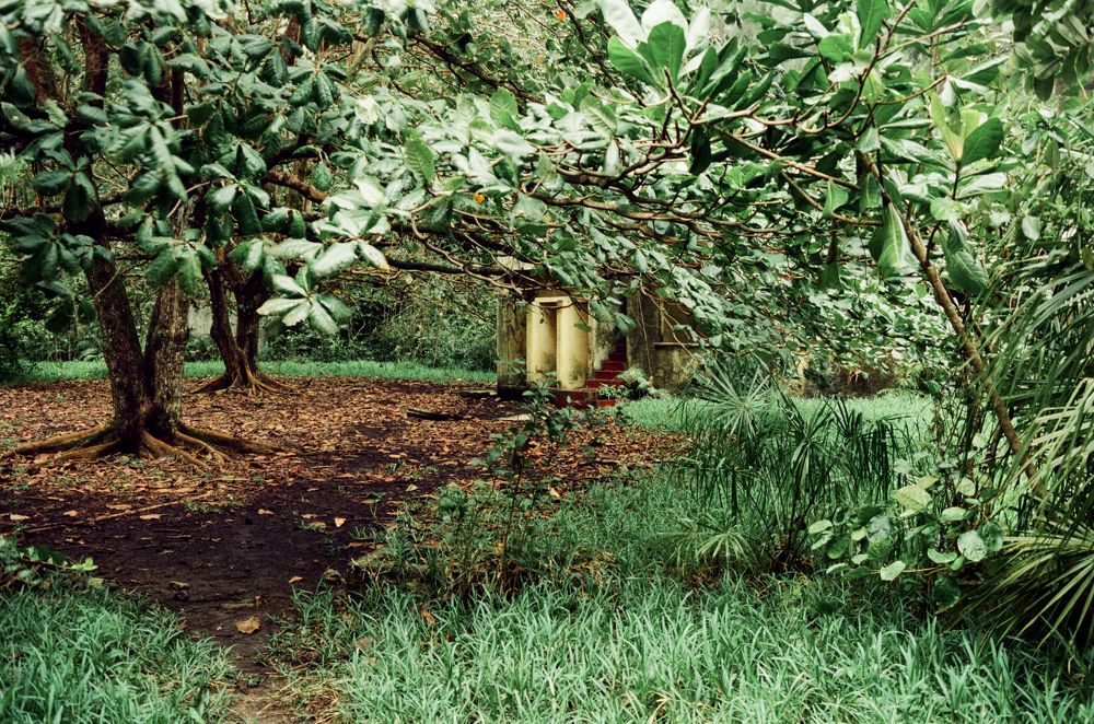 Photograph by Veronika Trubnikova