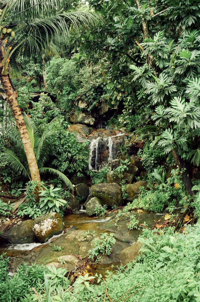 Photograph by Veronika Trubnikova