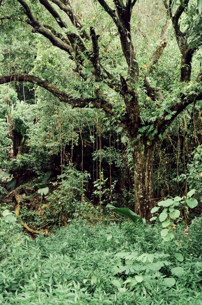 Photograph by Veronika Trubnikova