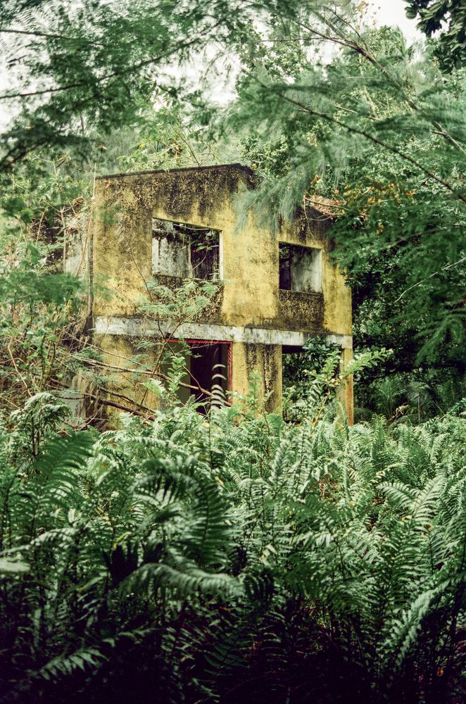 Photograph by Veronika Trubnikova