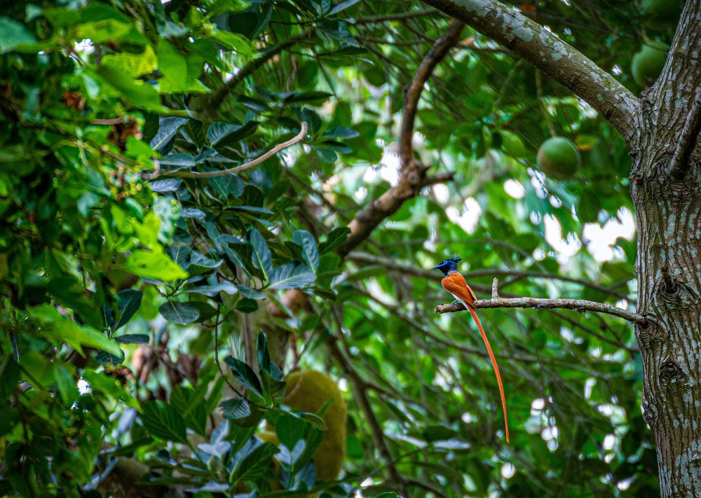 Photograph by Sharad Mansharamani