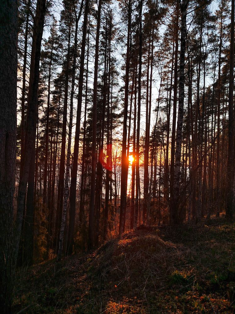 Photograph by Елена Шабанова
