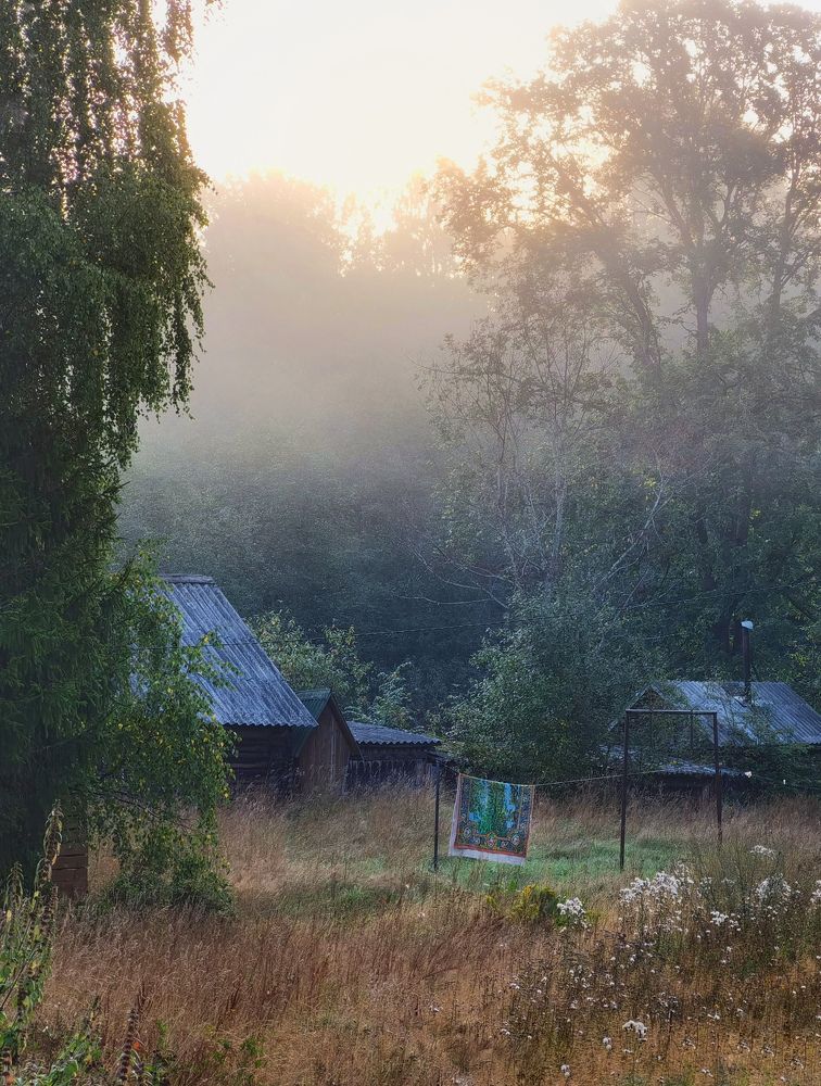 Photograph by Дарья