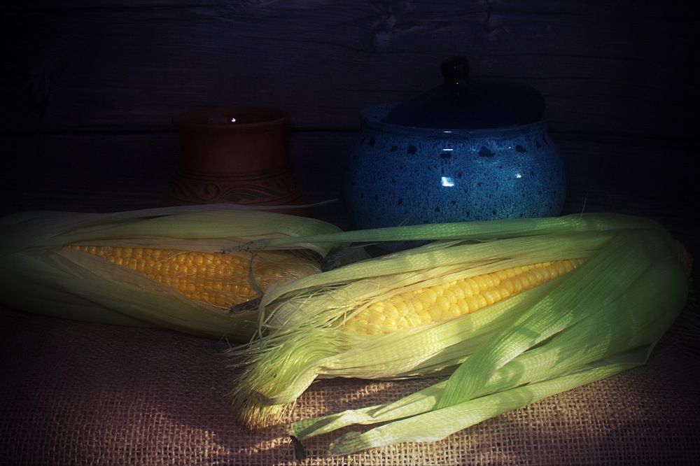 Photograph by Veretina Yroslava