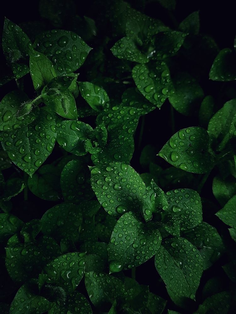 Photograph by Ксения Олина