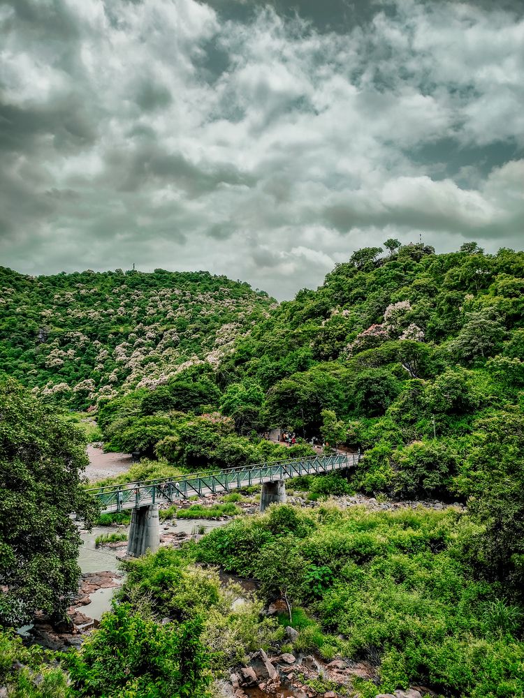 Photograph by PRATHAMESH PATIL