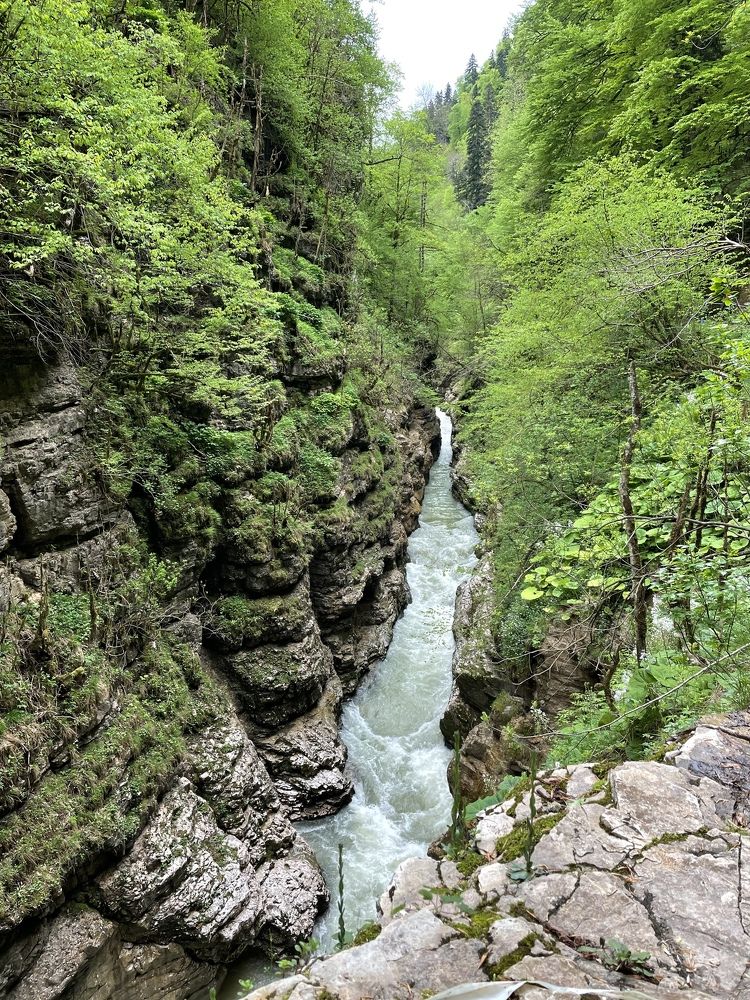 Photograph by Evgewa