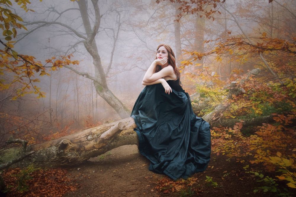 Фотография автора Sergii Vidov