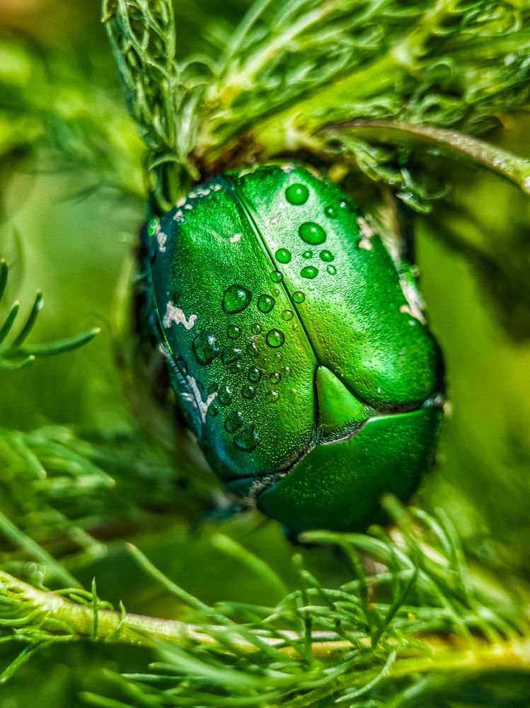 Photograph by Лариса Когтева