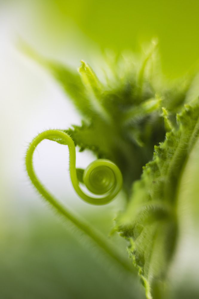 Фотография автора Татьяна Степанова