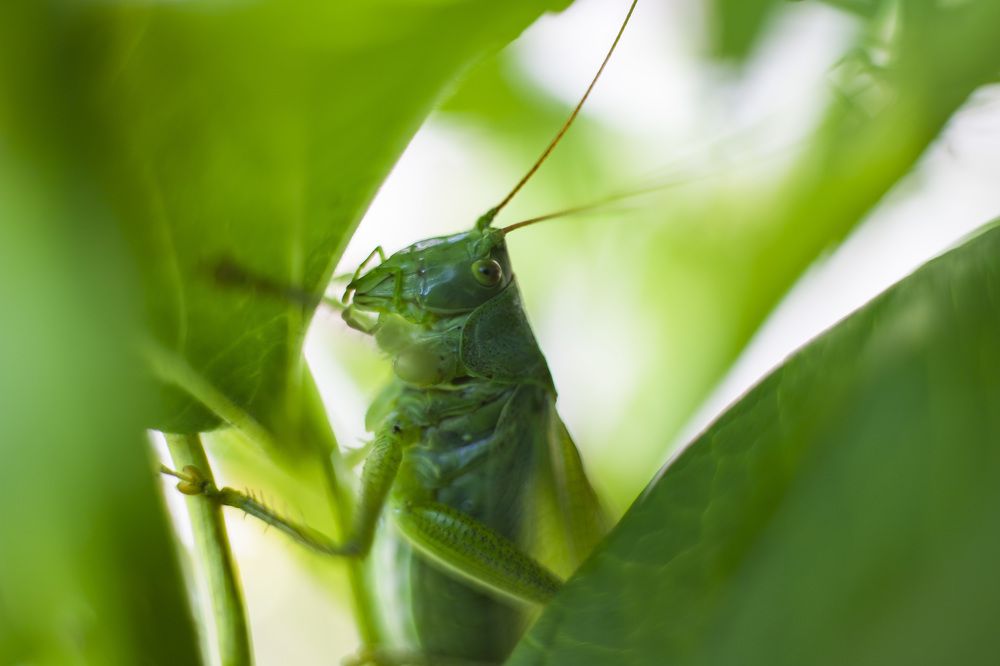 Фотография автора Татьяна Степанова