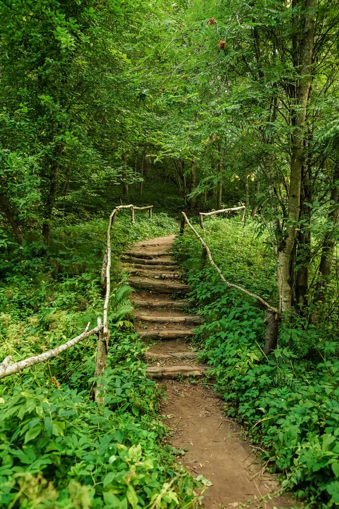 Фотография автора Галина