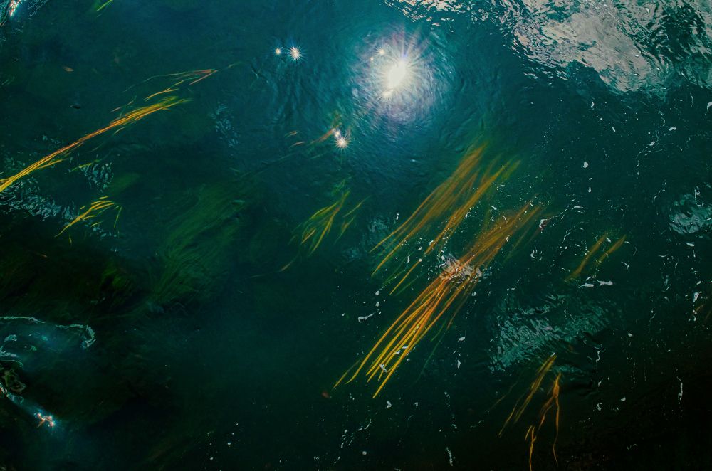 Photograph by Ольга Моисеева