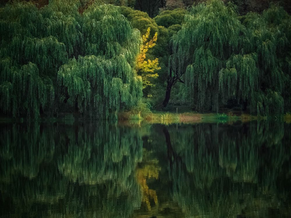 Photograph by Сергей Богданов