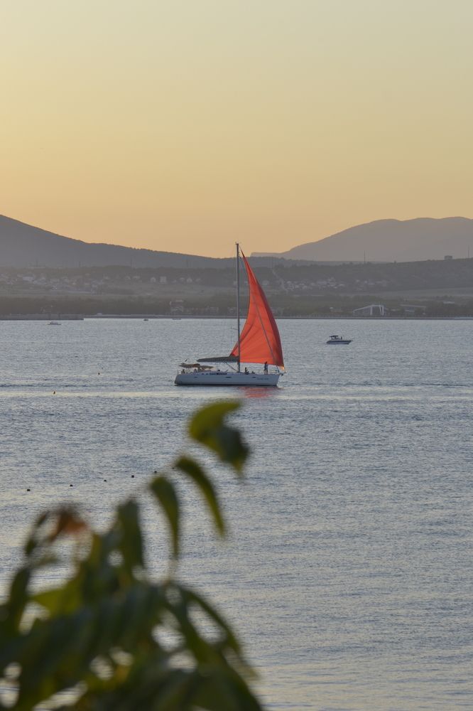 Photograph by Aleksey