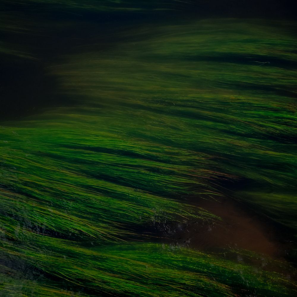 Photograph by Сергей Богданов