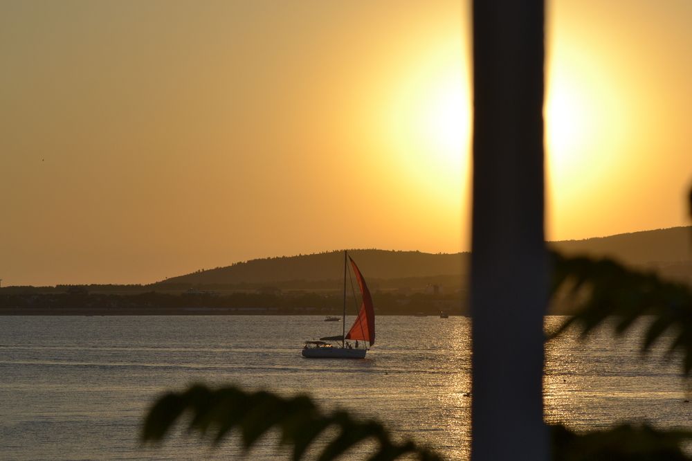 Photograph by Aleksey