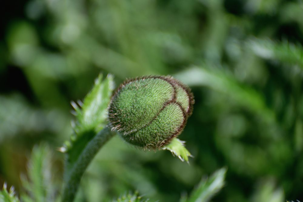 Photograph by Оксана Астрова