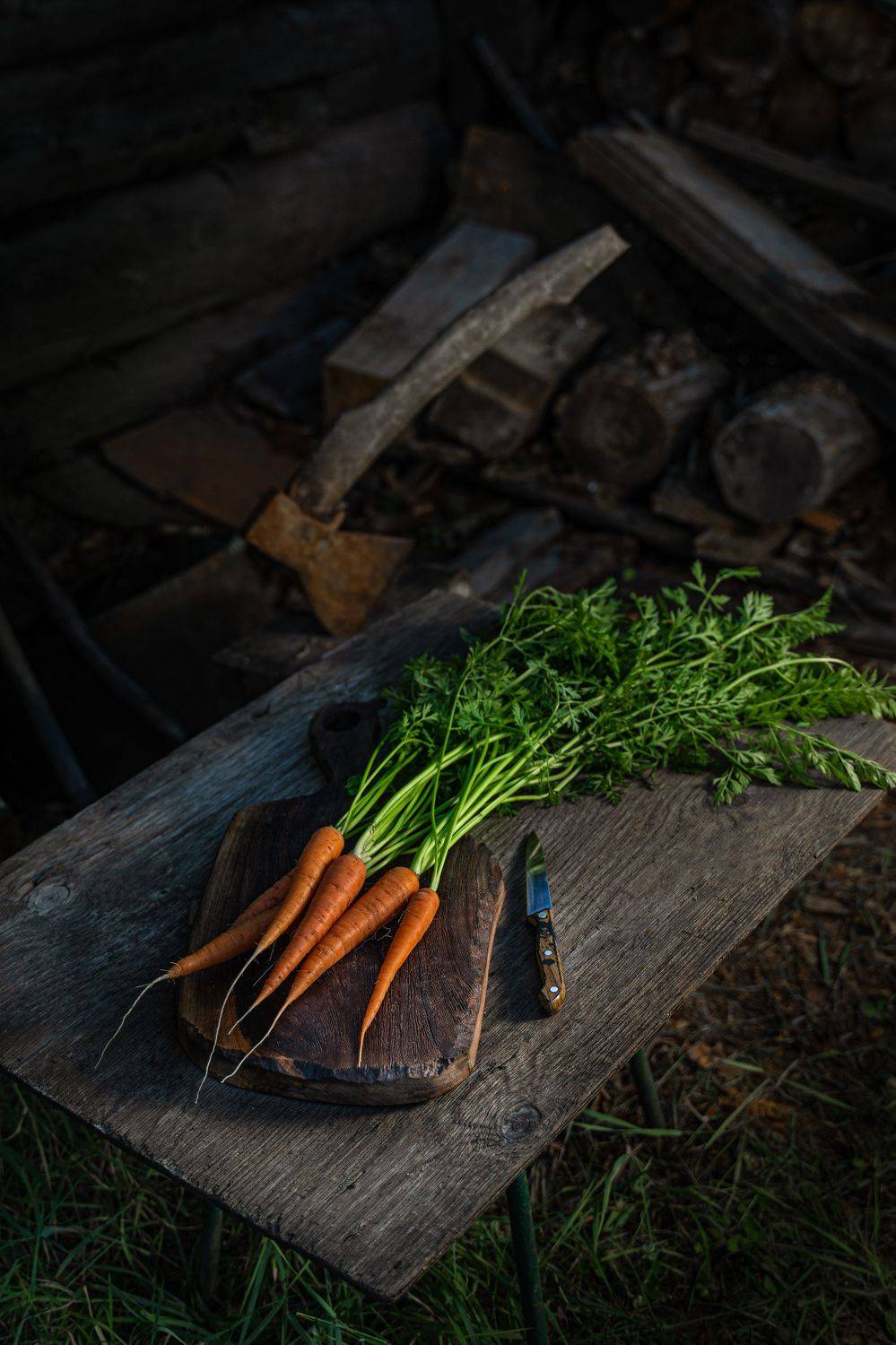 Фотография #7963508