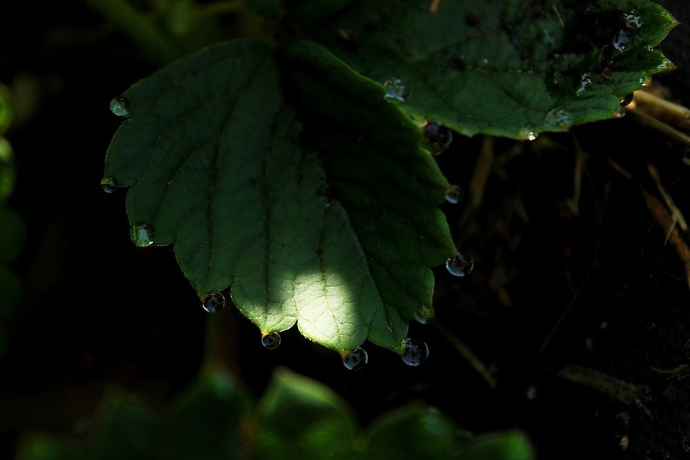 Photograph by Алия Кутлова