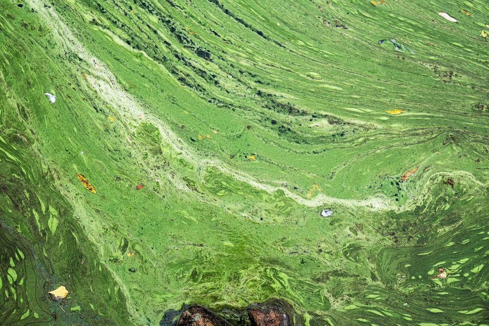 Фотография автора Невмержицкий Валерий