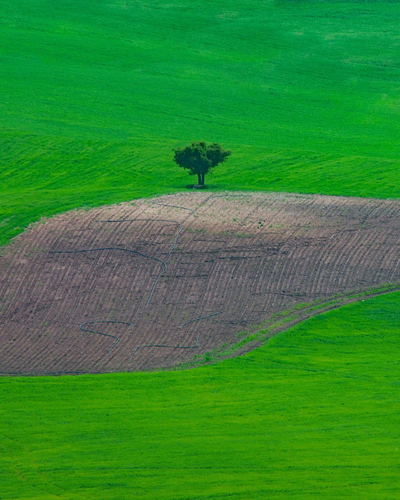 Фотография автора Alipour mohammad