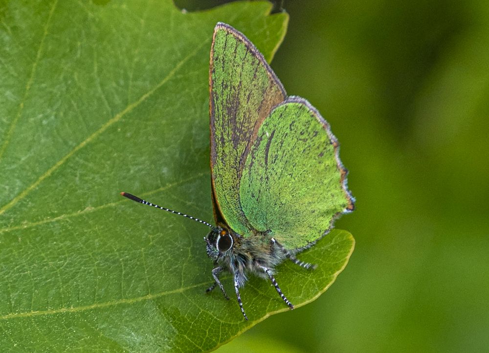 Photograph by Савчук Сергей