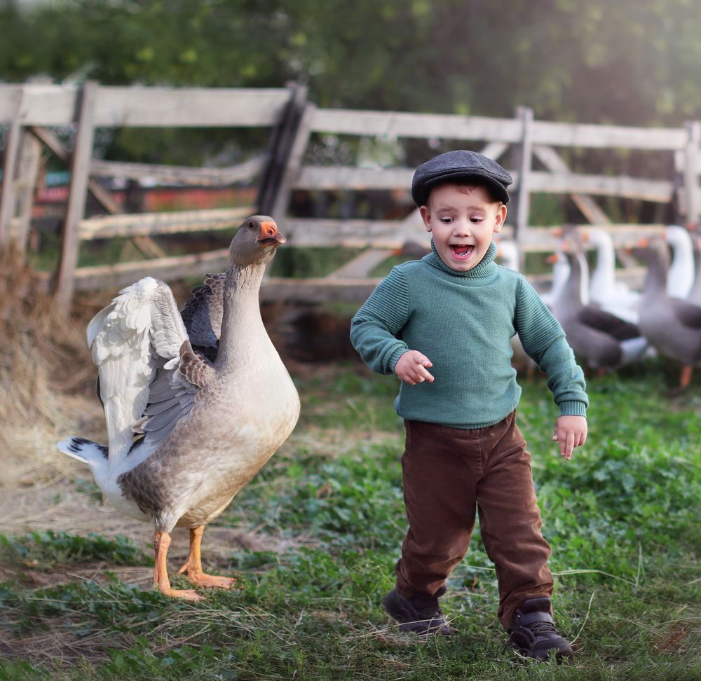 Photograph by Елена Яшкова