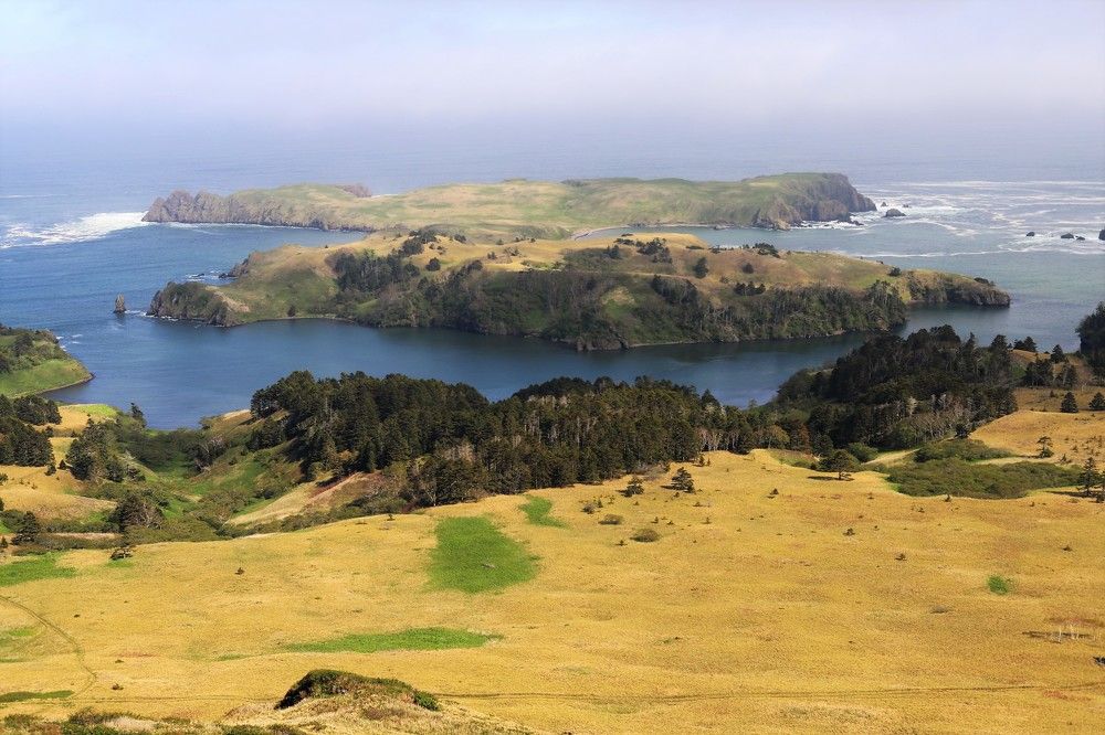 Photograph by Максимушкина Ольга