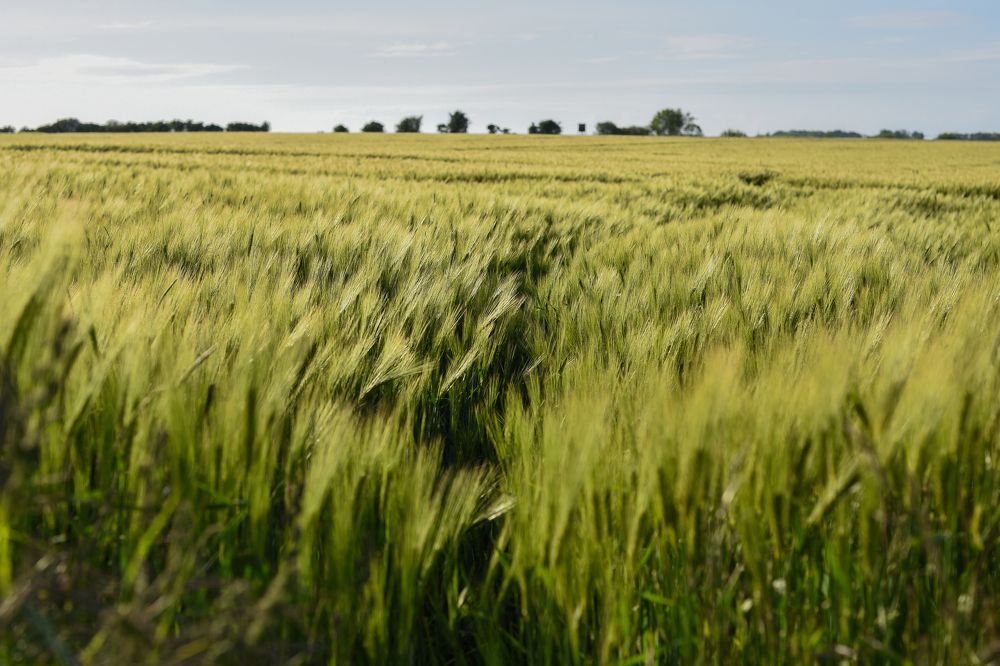 Photograph by Alena Smolianinova