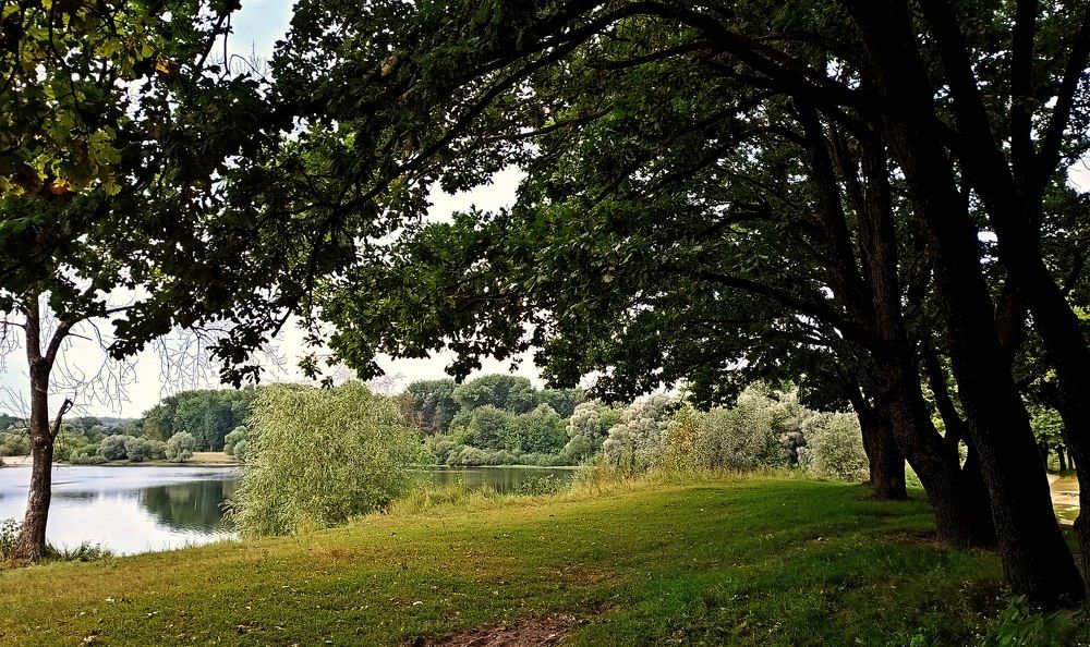 Photograph by леонид натапов