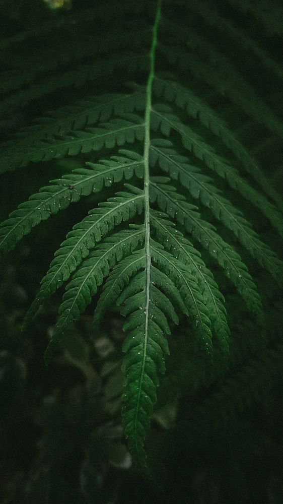 Photograph by Ольга Серова